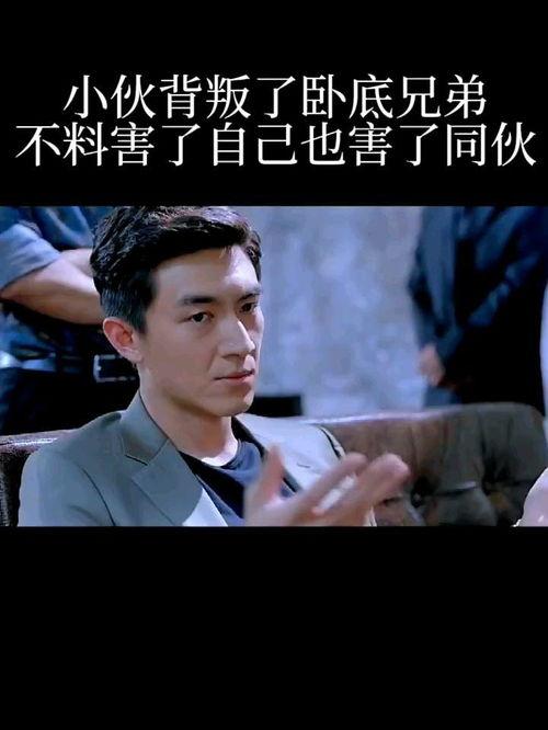 叛逆卧底在线观看,卧底风云,揭秘卧底背后的惊心动魄 第1张 叛逆卧底在线观看,卧底风云,揭秘卧底背后的惊心动魄 第1张