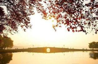 断桥爆料技巧视频大全,揭秘高效信息获取秘籍 第2张 断桥爆料技巧视频大全,揭秘高效信息获取秘籍 第2张