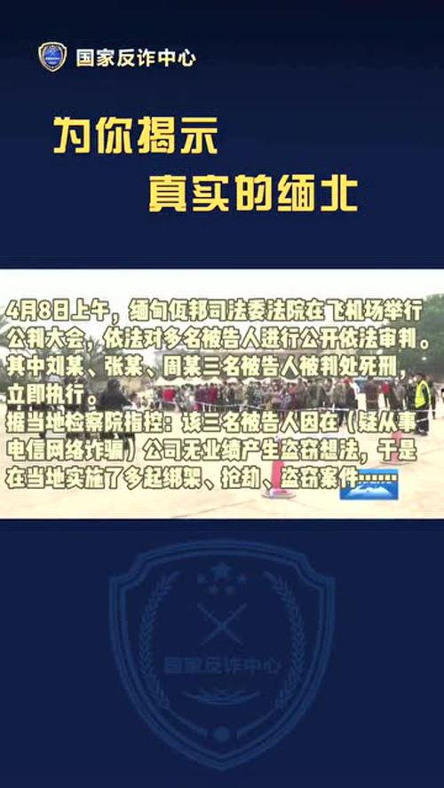 缅北视频爆料是真的吗,真相究竟如何? 第3张 缅北视频爆料是真的吗,真相究竟如何? 第3张